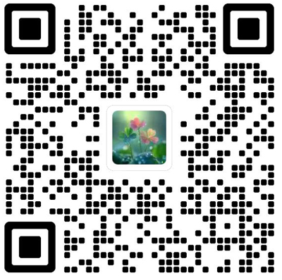 Journal of Mathematical Research with Applications杂志模板